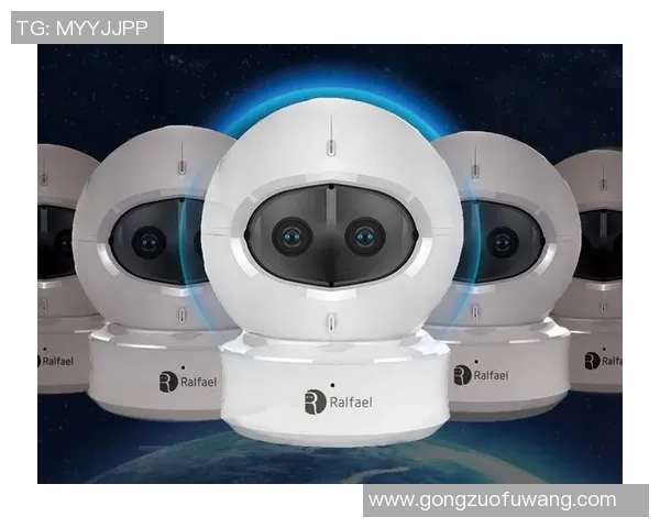 熊猫体育运动姿态识别技术的创新应用与发展前景探讨